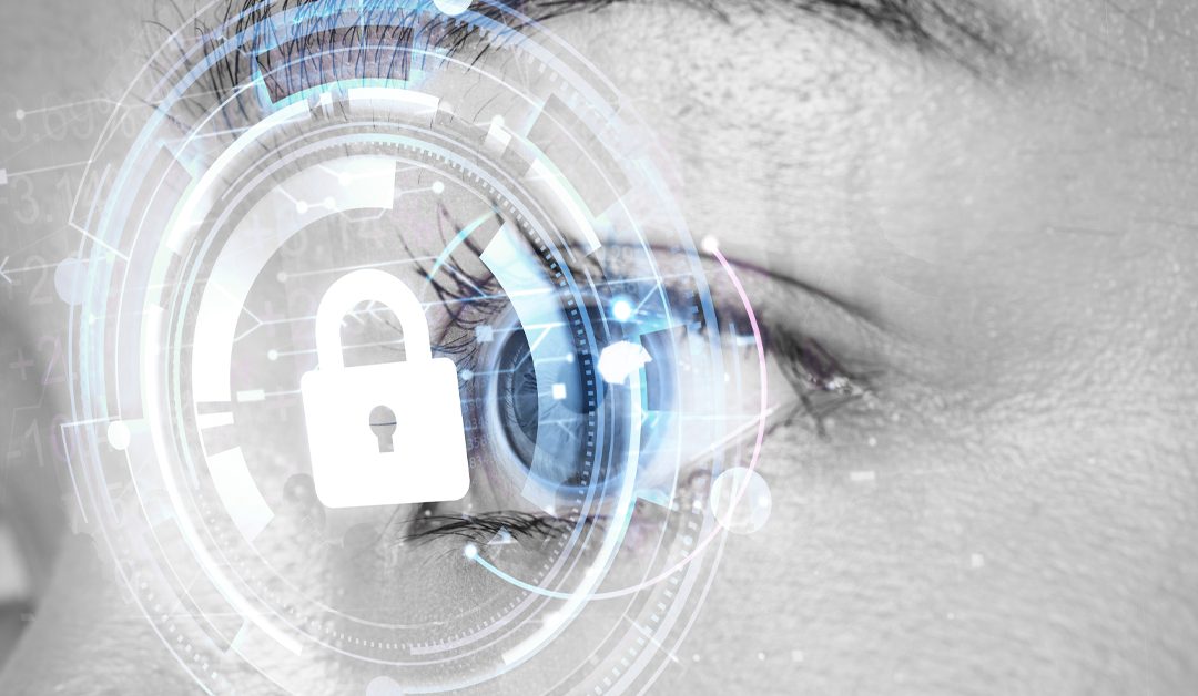 Ley de Protección de Datos Personales plantea nuevos desafíos para las pymes