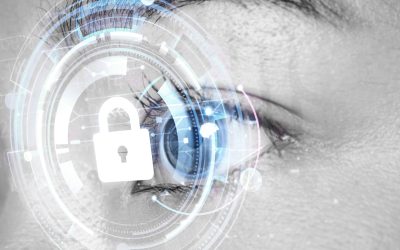 Ley de Protección de Datos Personales plantea nuevos desafíos para las pymes